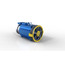 ISO9001 GSS-SM1 320kg 1.0m/s PM Elevator Gearless Motor